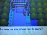 Cannes à pêches dans Pokémon Diamant et Perle Cannes à pêches dans Pokémon Diamant et Perle